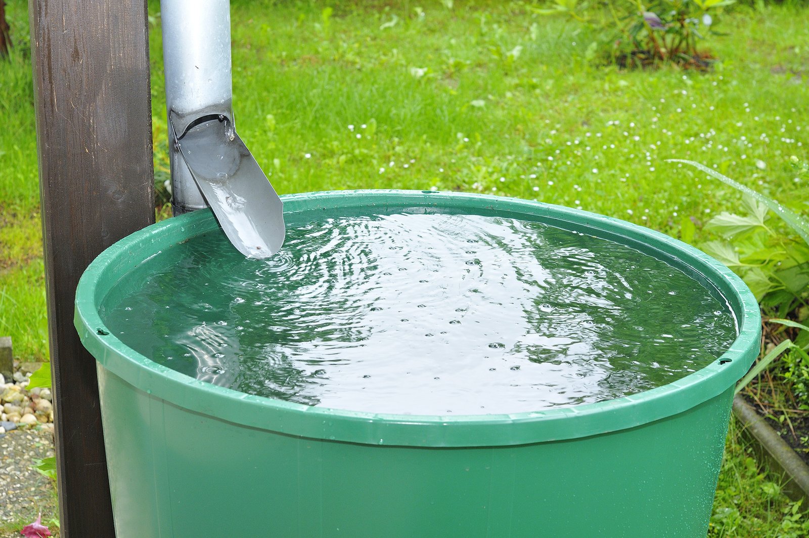 The end product of a rainwater harvesting system. A green bucket being fed by a vertical pipe carrying water.